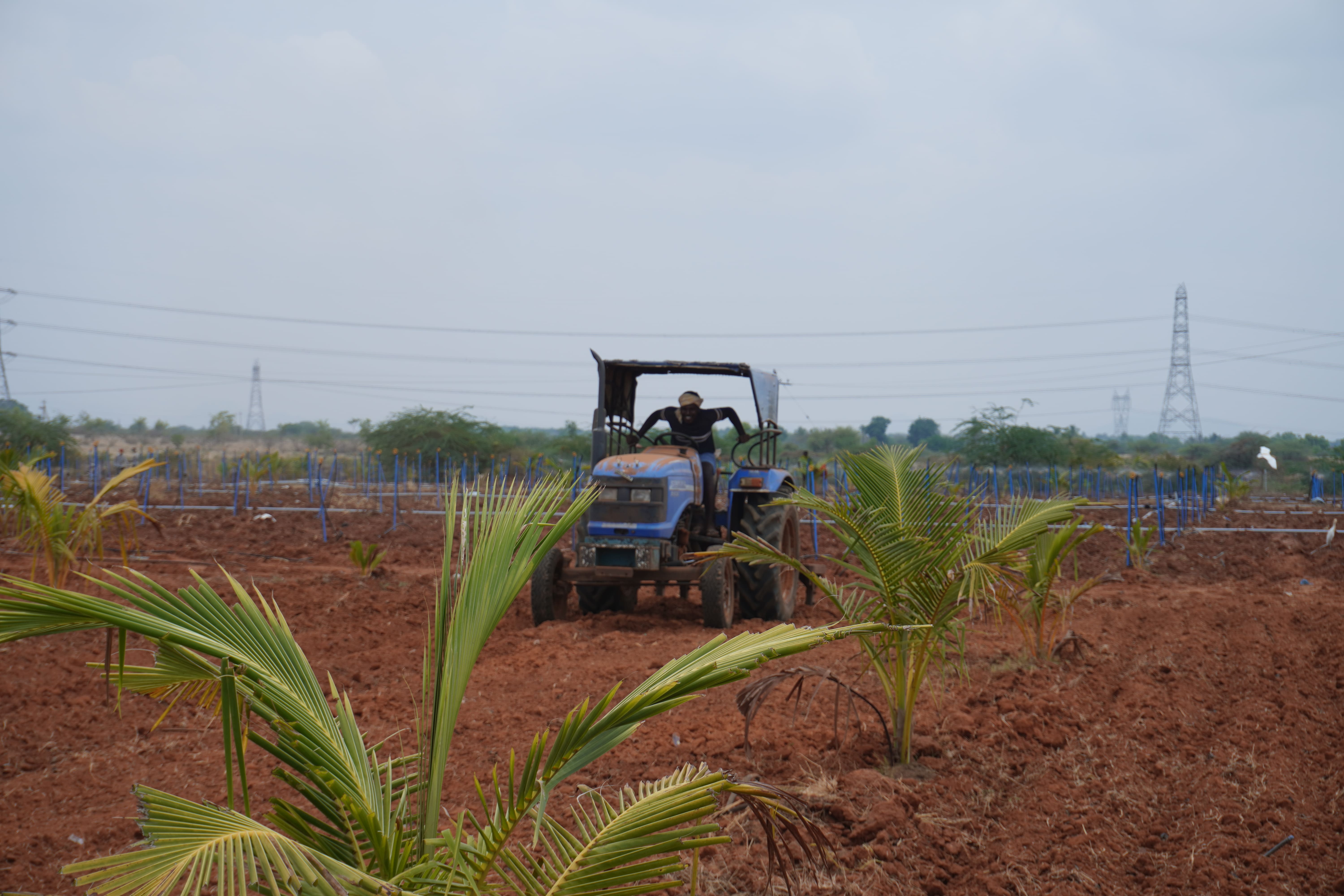 Modern residential development